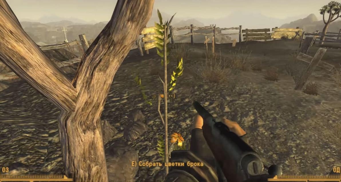 Квест "У костра" (Fallout: New Vegas)
