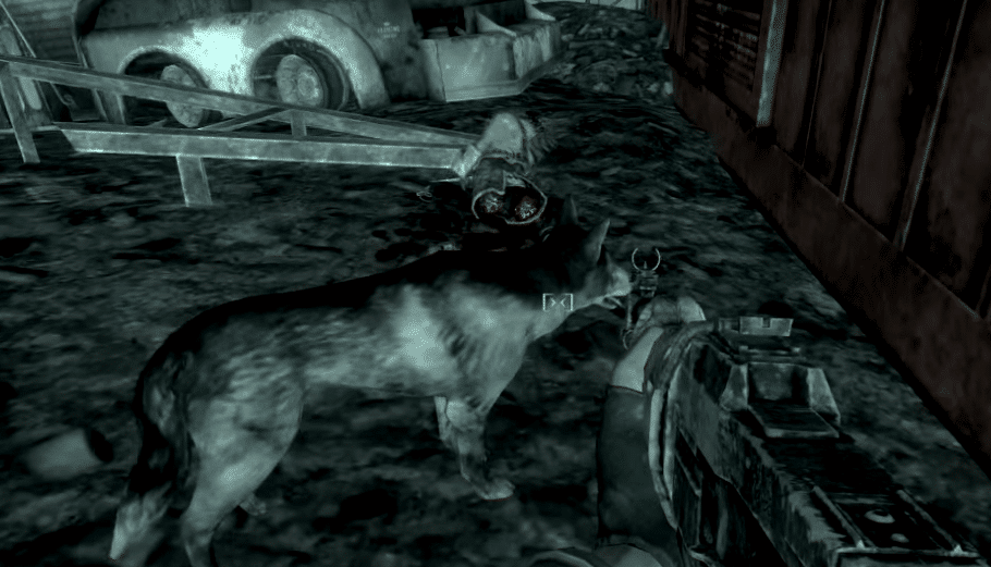 Напарники в Fallout 3