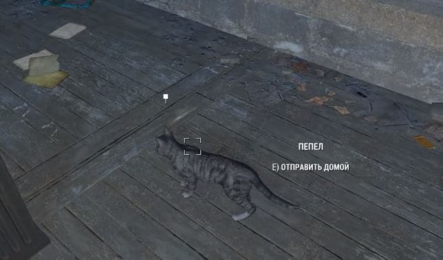 Квесты Fallout 4: "Кис-кис-кис"